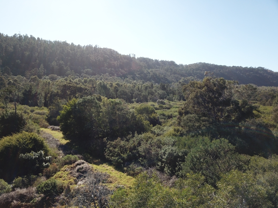 0 Bedroom Property for Sale in Keurbooms Western Cape